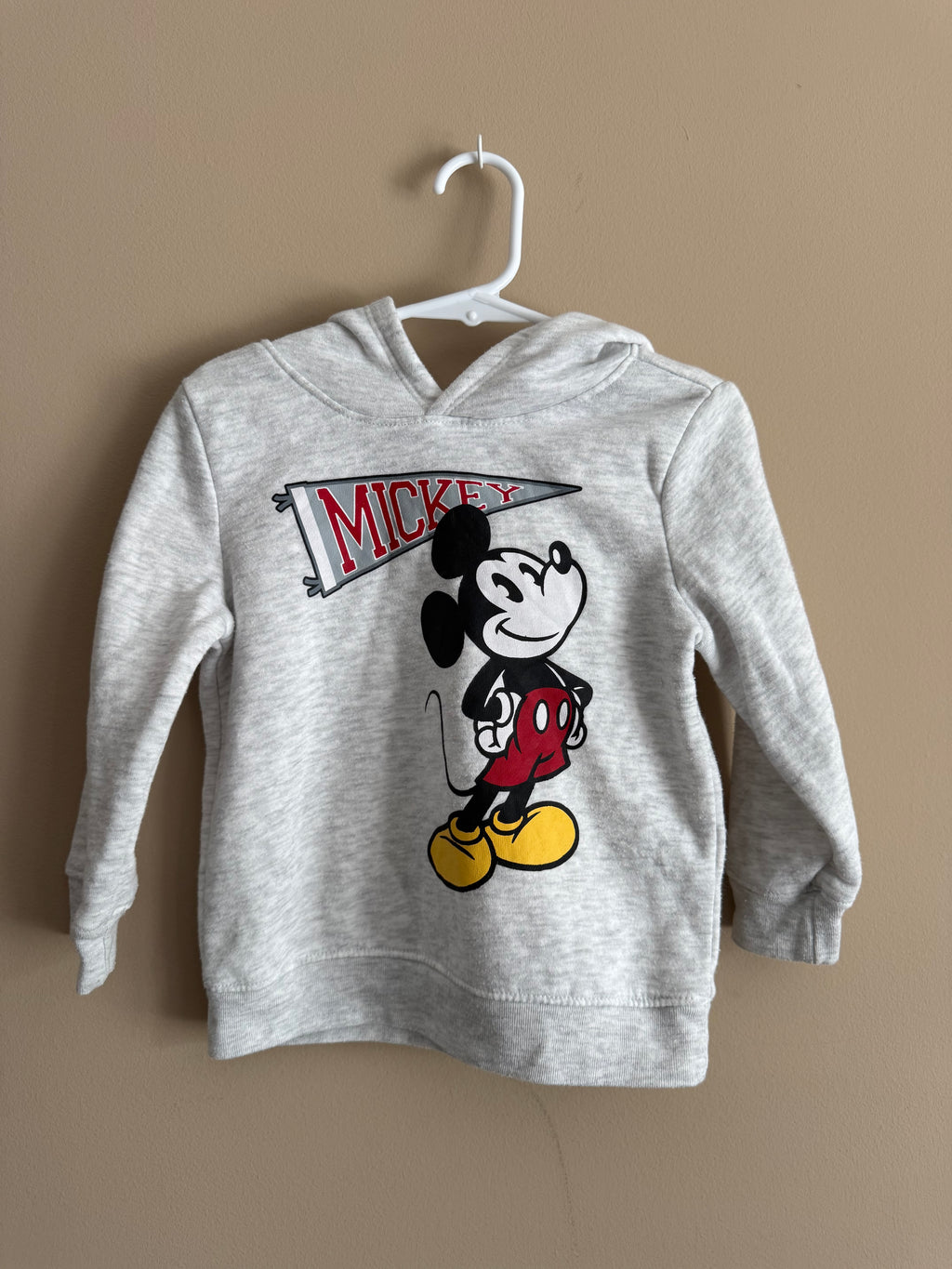 2T Hoodie