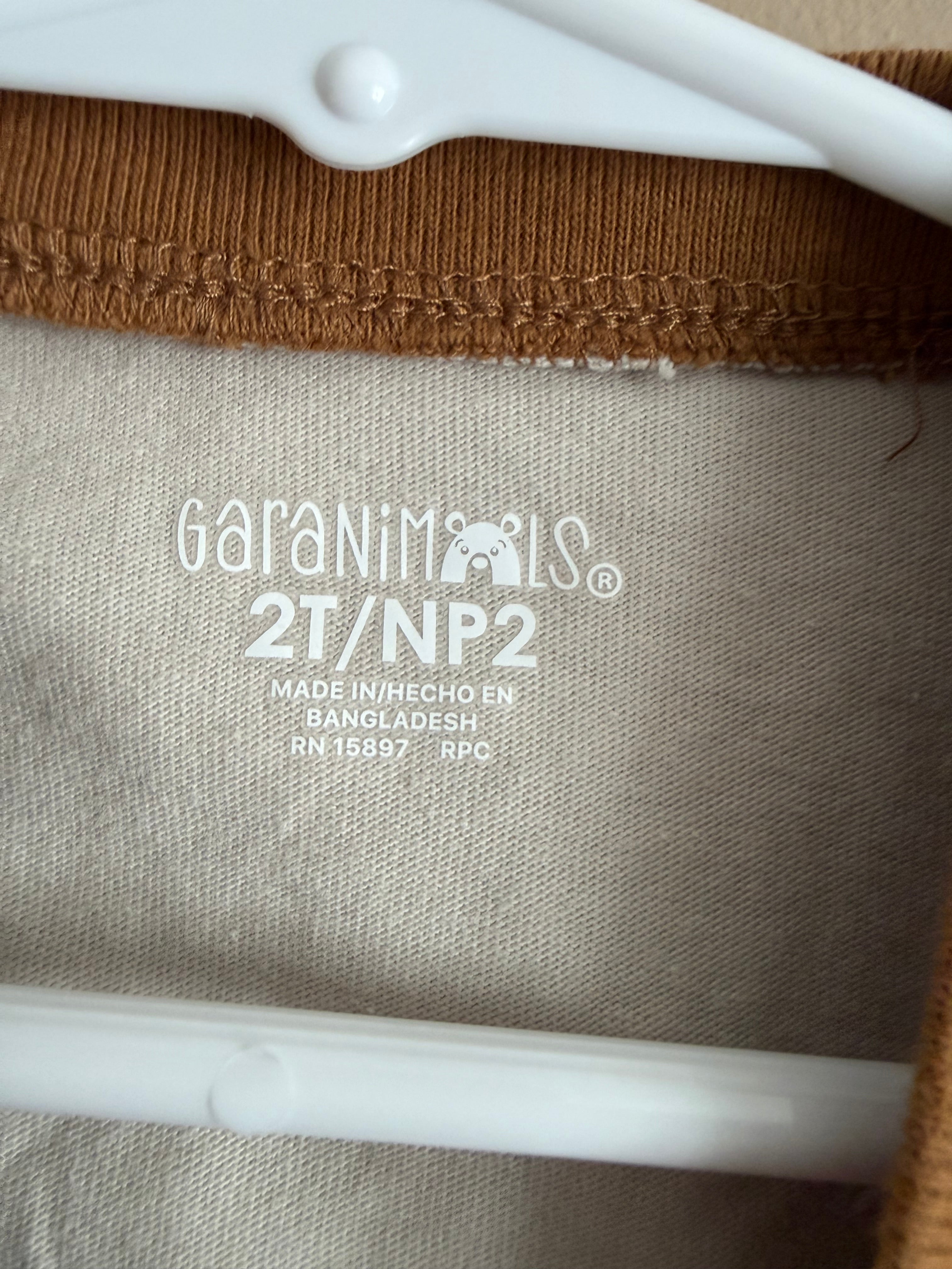 2T Boys Long Sleeve Shirt